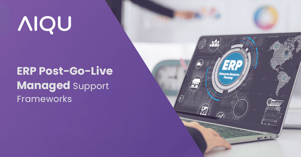 ERP Post-Go-Live Managed Support Frameworks